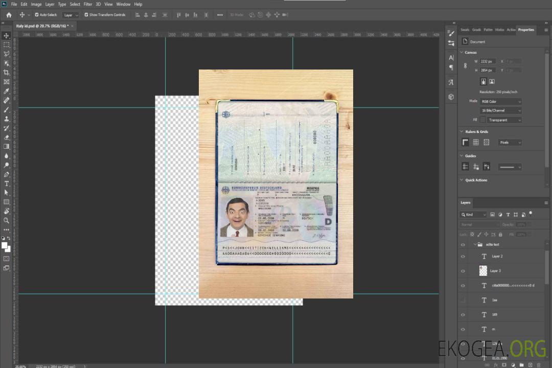 Look photo du passeport allemand (2017-présent) template